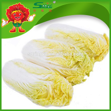 Fresh small Chinese baby cabbage(Small) four pack for sale